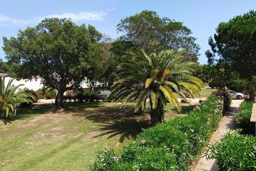Fiori Di Cala Rossa Appartement T3 Dans Residence Hotelliere Chez Virginie Lecci Exterior foto